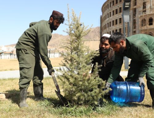 زمینه مناسب نفس کشیدن را با غرس یک نهال فراهم بسازید!